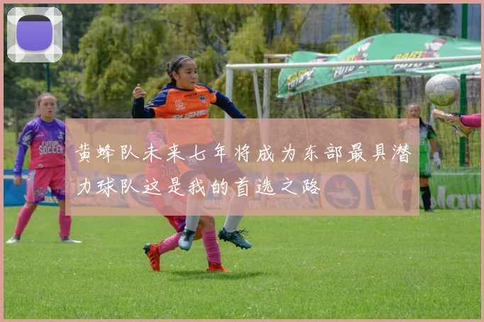 黄蜂队未来七年将成为东部最具潜力球队这是我的首选之路