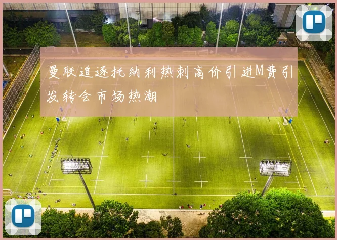 曼联追逐托纳利热刺高价引进M费引发转会市场热潮