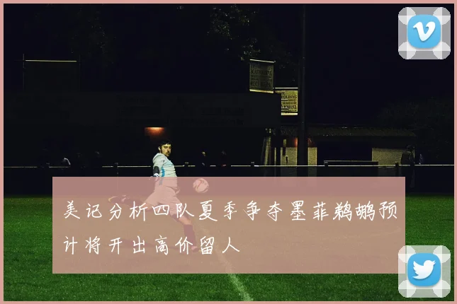 美记分析四队夏季争夺墨菲鹈鹕预计将开出高价留人