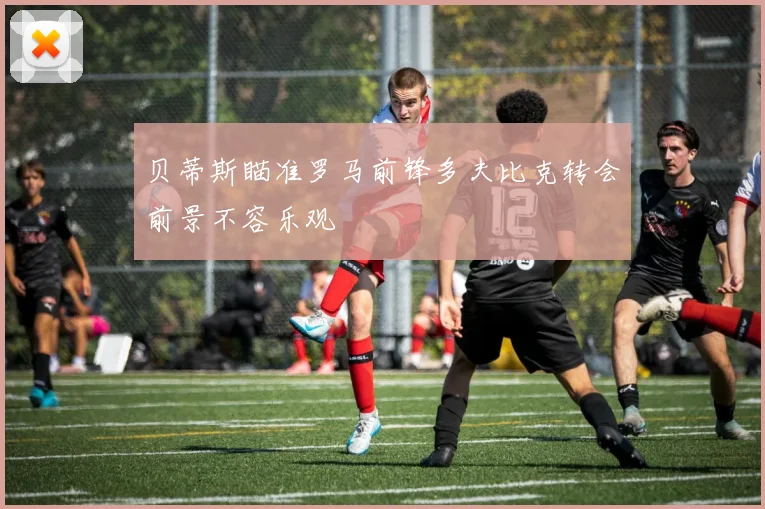 贝蒂斯瞄准罗马前锋多夫比克转会前景不容乐观